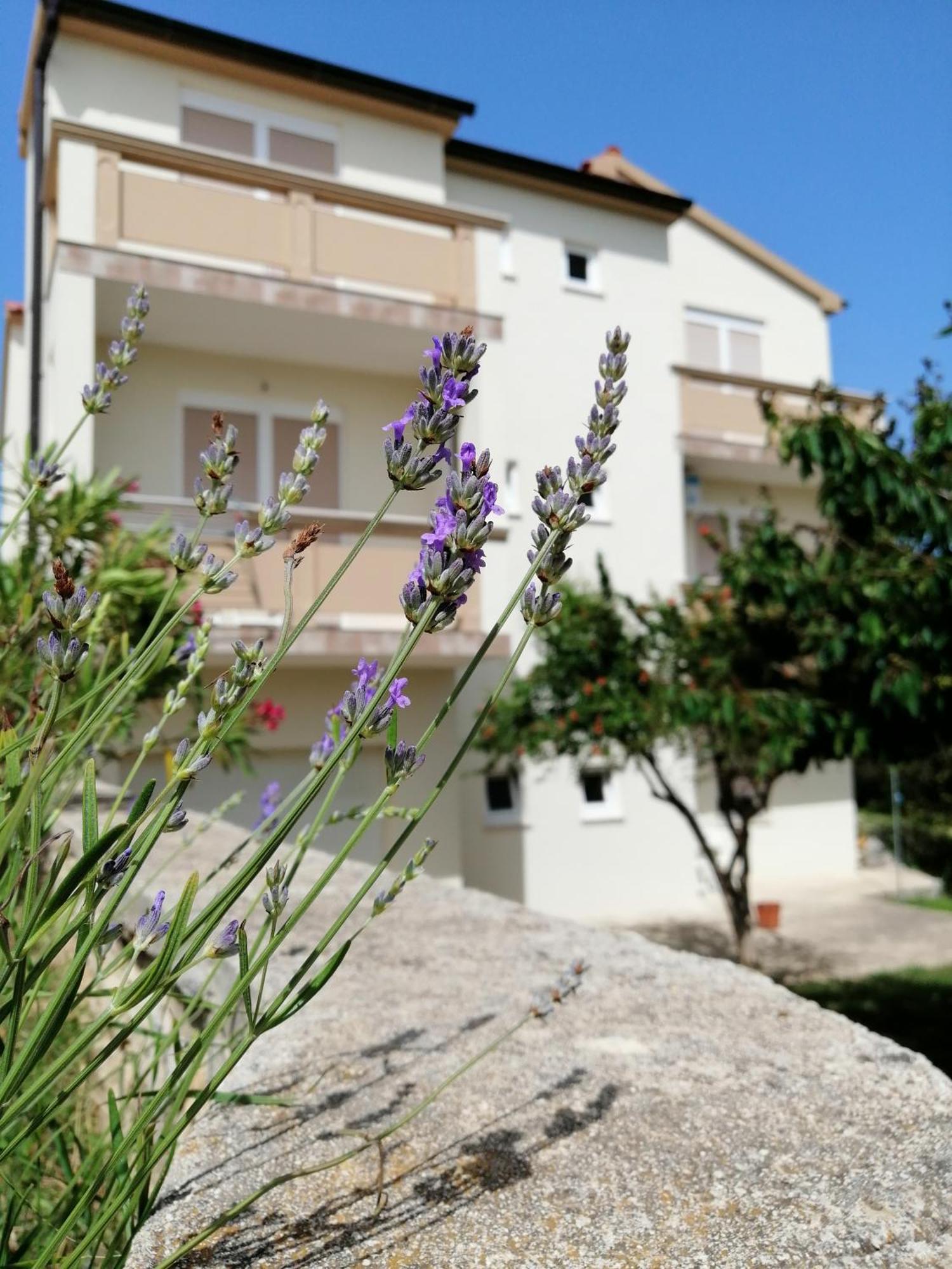 Apartments Monika Nin Exterior photo